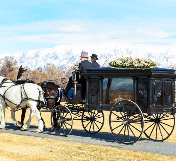 horse Hearse